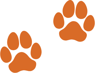 Balanced Bond Canine Coaching logo